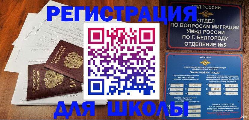 прописка поиск в Курчалом