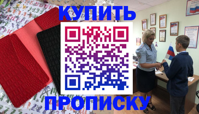 прописка регистрация в Курчалом